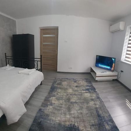 Andi 2-Apartament Herkulesfürdő Kültér fotó
