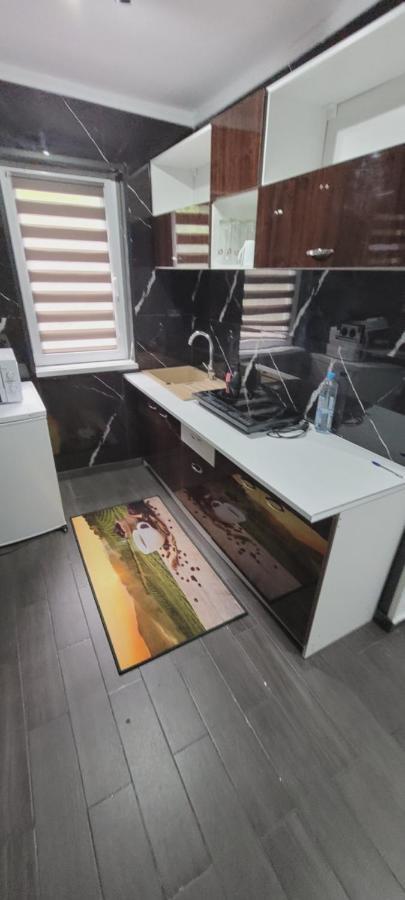 Andi 2-Apartament Herkulesfürdő Kültér fotó