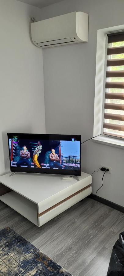 Andi 2-Apartament Herkulesfürdő Kültér fotó