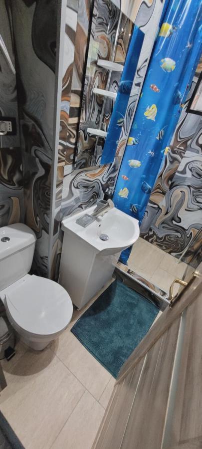 Andi 2-Apartament Herkulesfürdő Kültér fotó