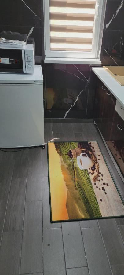 Andi 2-Apartament Herkulesfürdő Kültér fotó